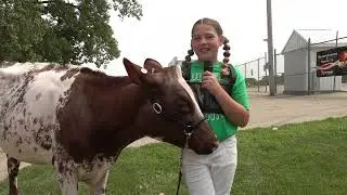 2024 Dubuque County Fair Dairy Show
