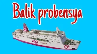 WAY BACK HOME  (BALIK PROBENSYA) LSI  (LOCALLY STRANDED INDIVIDUAL)
