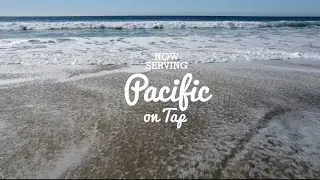 Pacific on Tap