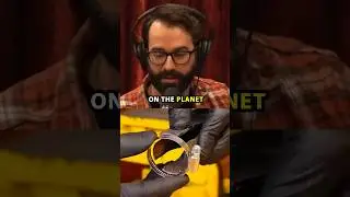 Matt Walsh Reveal The Shocking History of Slavery &ndash; Joe Rogan #shorts #education #joerogan