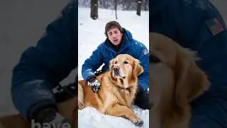 Heroic Dogs: Unbelievable Acts of Loyalty and Bravery