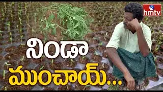 Special Story on Khammam Farmer Problems With Fake Mirchi Seeds | hmtv