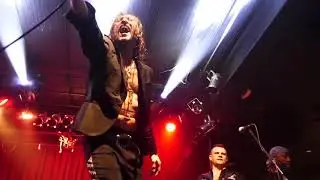 Gogol Bordello (19) Never Young @ Vinyl Music Hall (2017-10-20)