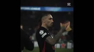 رافينيا
