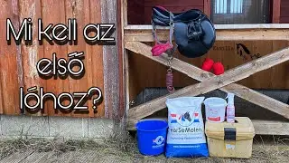 Mi kell az első lóhoz? | Kamilla And Me