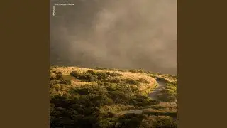 The Longest Dream