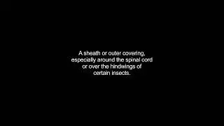 elytra video Dictionary meaning and pronunciation
