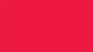 Orange-Red Screen 4K UHD @60fps - RGB(237, 20, 91) Hex(ed1941)