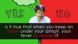 Can Onion causes Fever !? || Question Answered !! ( Tamil )