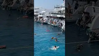 Red Sea, Sharm El Sheikh, Egypt