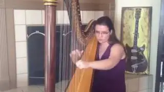 In the Garden, hymn on the harp played by Elizabeth Webb Houston Harp Music