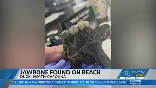 Child finds part of 'historic' jawbone on North Carolina beach