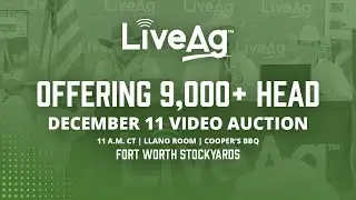 LiveAg Commercial Cattle Video Auction &ndash; December 11 | Buy Quality Livestock Online