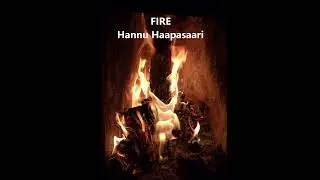 Hannu Haapasaari Fire