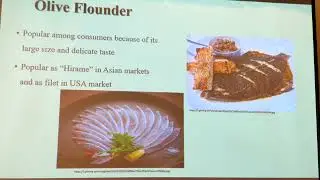 Denitrification Part 1 (Andrew Ray)