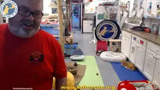 Storytime with Billypogo 09-01-2021   Friends of Felines Rescue Center (FFRC)