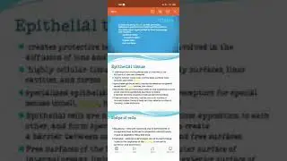 ADP lecture 1