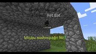Моды майнкрафт №9 (Pet Bat)