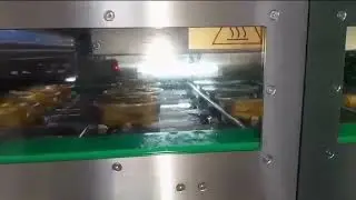 Emrich Packaging Machinery - Apack Automap 200E Inline Tray Sealer - Stuffed Peppers