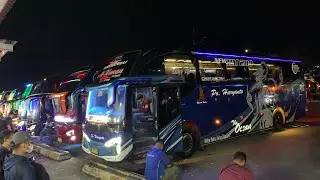 ARUS BALIK NATARU, PO HARYANTO MASIH JADI PRIMADONA DI MURIA RAYA | PO HARYANTO