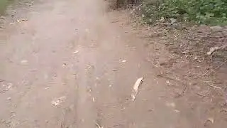 CAMINO HACIA EL CASER&Iacute;O DE PATIVILCA - BAT&Aacute;N GRANDE/ TERCERA PARTE 