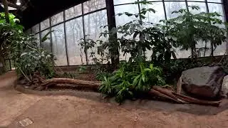 GoPro POV Adventure: A Day at the Baltimore Zoo | Animal Encounters 🐾🎥Baby Chimp Ivy