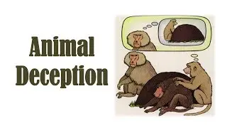 Deception in the Animal Kingdom