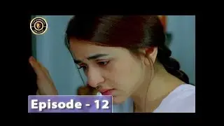 Pukaar Episode 12 - Top Pakistani Drama