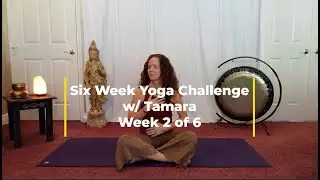 Six Week Yoga Challenge w/ Tamara (Week 2: Seated Postures, 21 minutes)