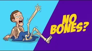 No Bones, No Structure! The Science Behind a Boneless Human