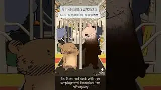Natural habitat shorts на русском | Выдры | ВалерьЯнка Project