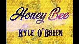 Kyle O'Brien - Honey Bee (artwork video)