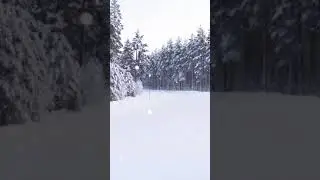1 d&eacute;cembre 2017