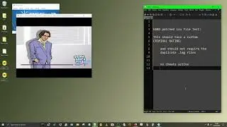 GTA VICE CITY [PS2]; Hard Patched .iso reduction with Custom cheats baked in.