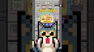Let's Go!!!! #catjump #cat #catgame