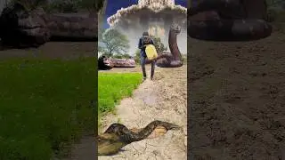 #comedy #shortvideo २#snakecomedy #snaketalk #snake