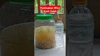 Fermentasi untuk bikin Wine Salak yang nikmat 🍺