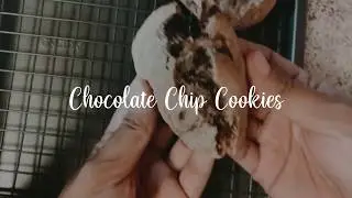 Chocolate Chip Cookies Baked in a Toaster Oven