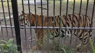 VID 20251108 150703805