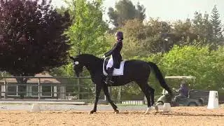 Easy Breezy Prix St. George with Claire Gunther