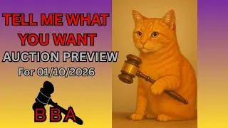 TELL ME WHAT YOU WANT ME TO BUY FOR YOU!!! Auction Preview 01/10/26