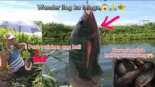 THE BEST FISHING SPOT TALAGA ANG WONDER ILOG SA ANGONO RIZAL😱🙏🙏🐠