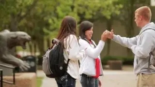 Greater Houston Partnership   Opportunity Houston  Why Houston