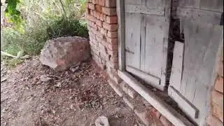 Beautiful daily vlog