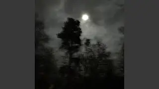 she can't forgive - Breakcore Edit