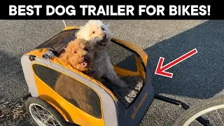 Schwinn Bike Trailer Review by Rebecca Woods