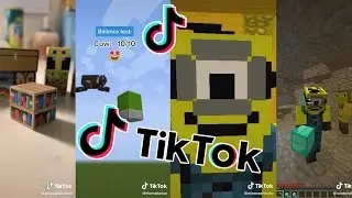 Minecraft COMPILATION (Best of 2020 TikTok Minecraft)