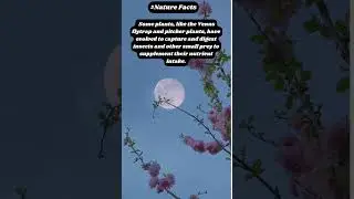 #factsaboutnature I #lovingfacts I #interestingshort I #youtubeshorts