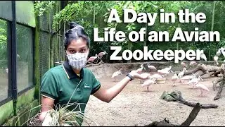 A Day In The Life Of An Avian ZooKeeper | #TheGreatIndoorsWRS