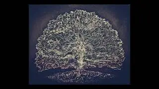 Stuart Elliott - FIVE AMAZONIAN STORIES for wind quintet